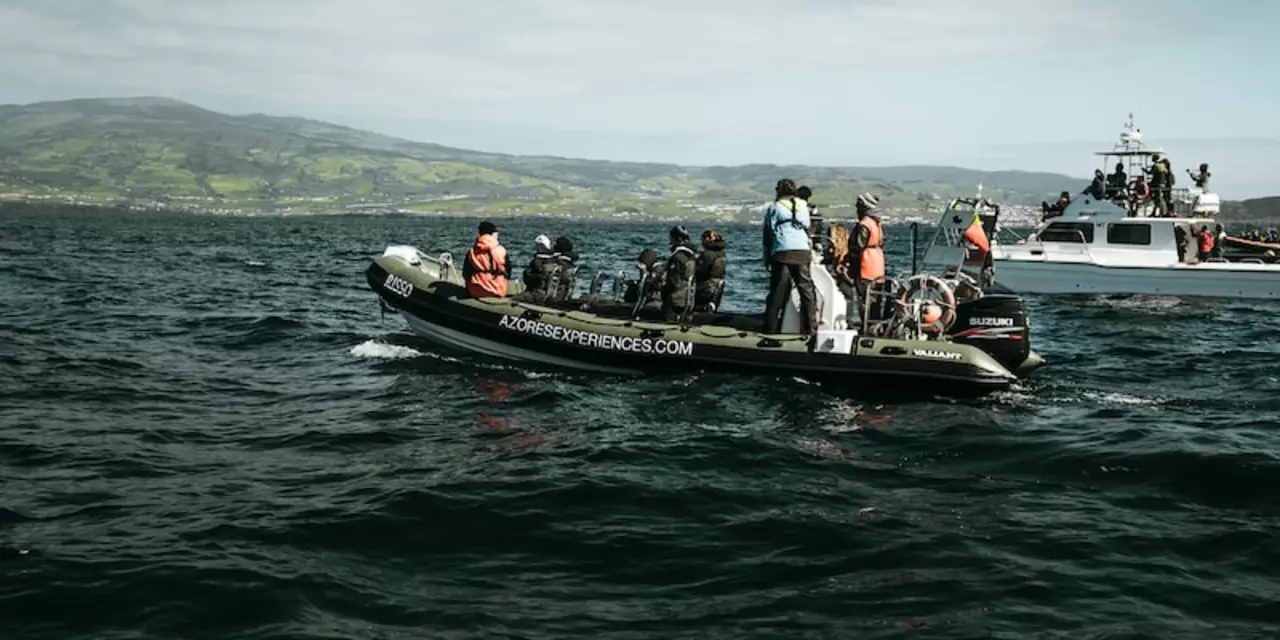 サンフランシスコでは、またはモントレーでは、クジラウォッチングの方がより良いですか?